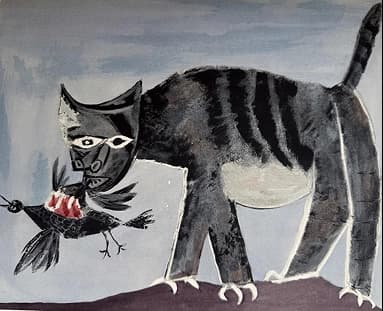 GATTO CHE ADDENTA UN